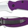 Kershaw Knives Kershaw Scallion, Purple Aluminum, KE-1620PUR