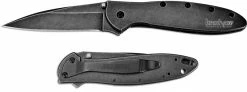 Kershaw Knives Kershaw Leek, BlackWash, KE-1660BLKW