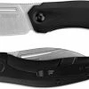 Kershaw Knives Kershaw Turismo 5505 - 2 Tone Satin D2 Leaf Blade - Black PVD Stainless Steel - SpeedSafe Assist - Flipper Folder